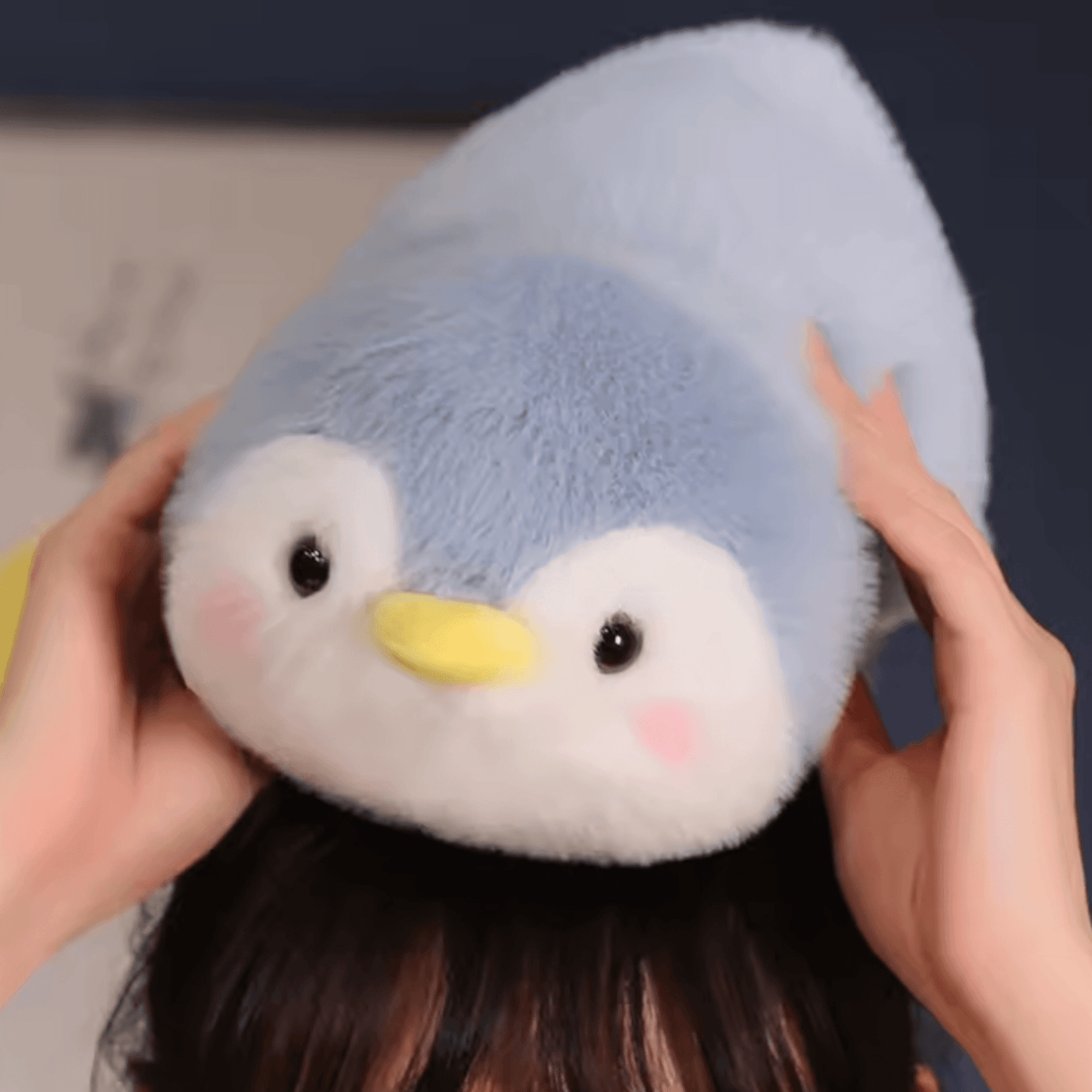 Peluche 2 en 1 - Palimu