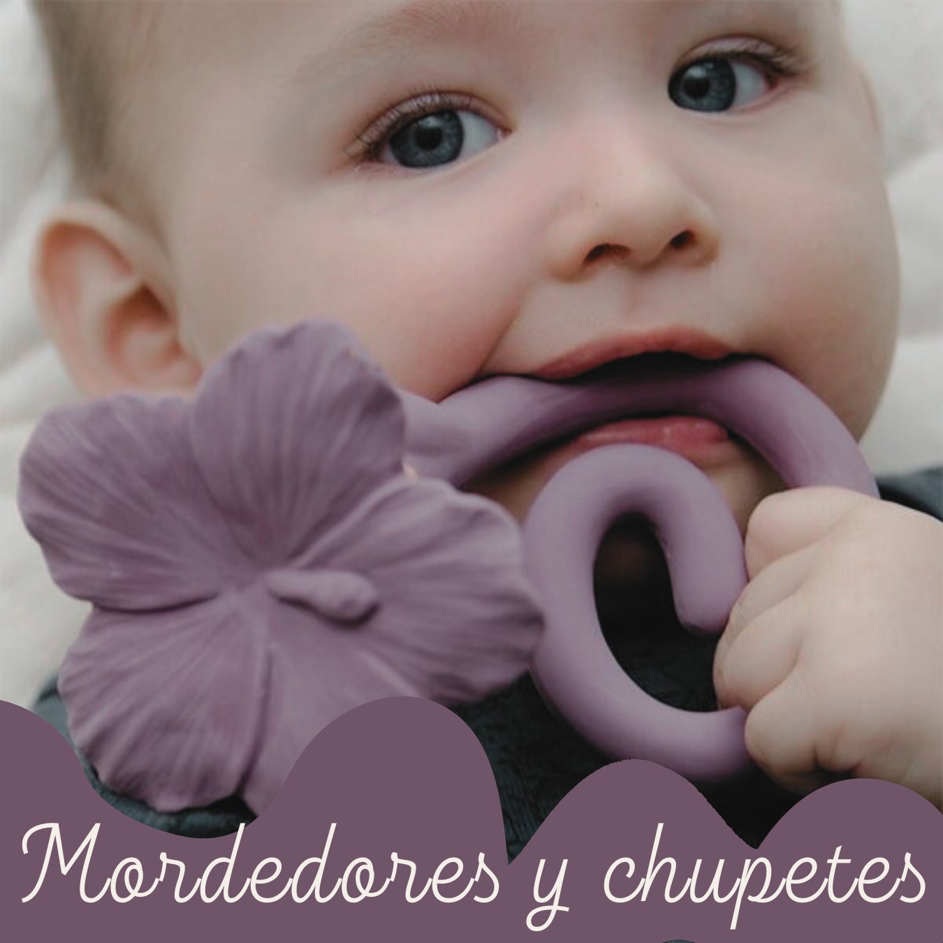 Mordedores y chupetes
