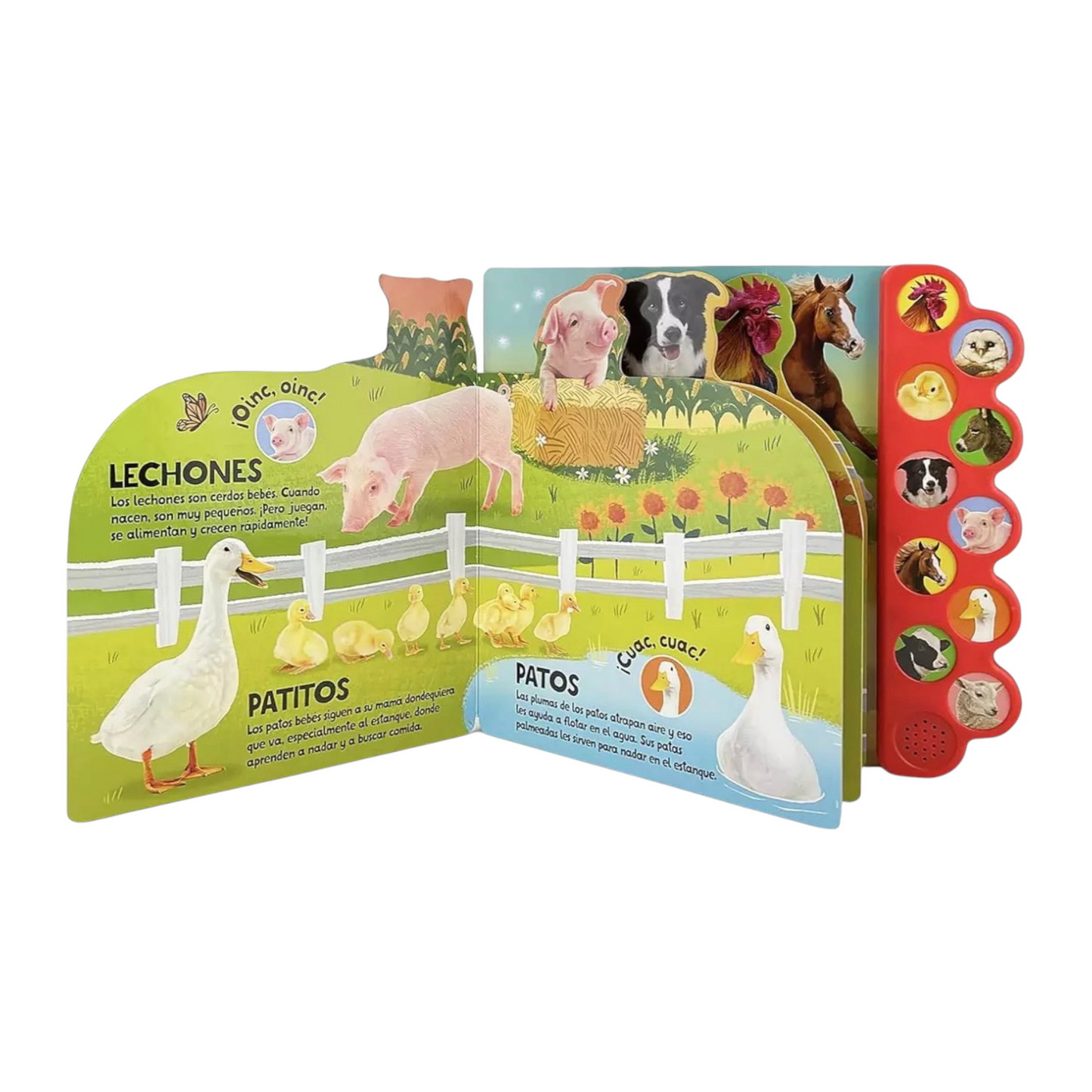10 Sonidos de la granja ¡Cuac! ¡Muu! ¡Oinc!