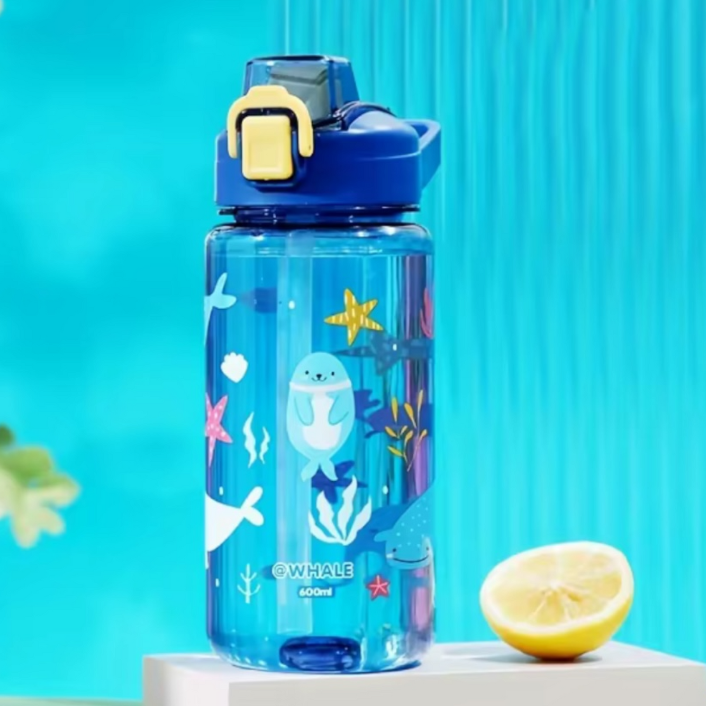 Botella de agua 600ml