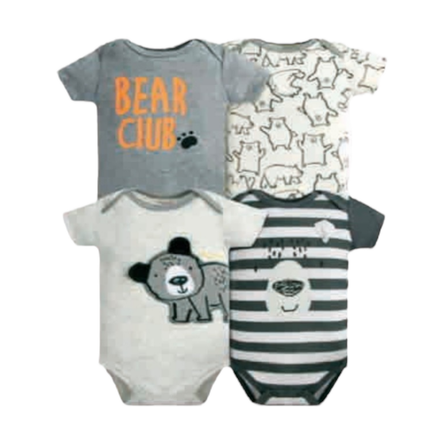 Set de 4 bodys, Oso gris