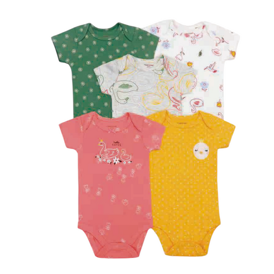 Set de 5 bodies Verano rosa