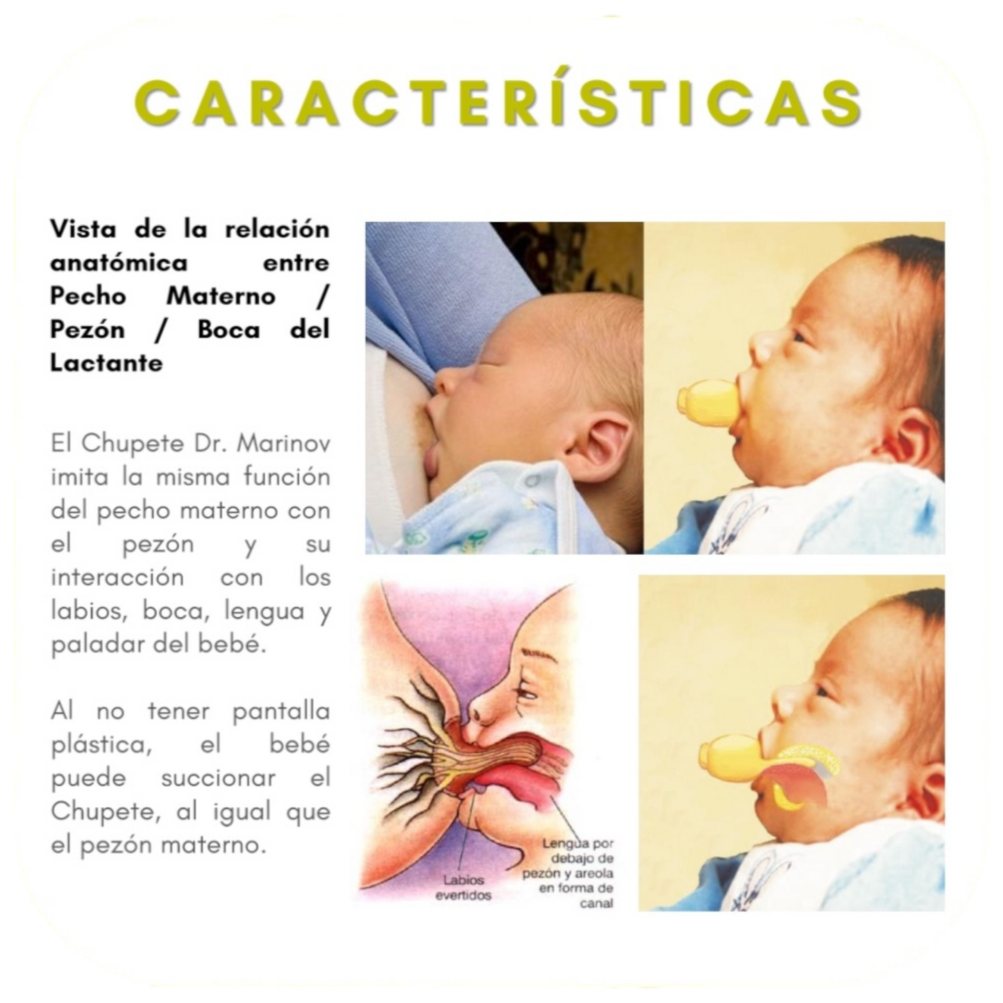 Chupete de Dr Marinov