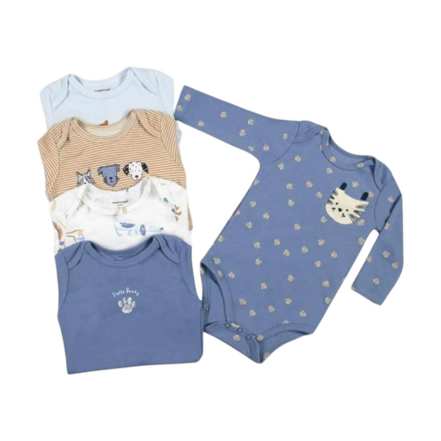Set de 5 bodys, Perritos celeste